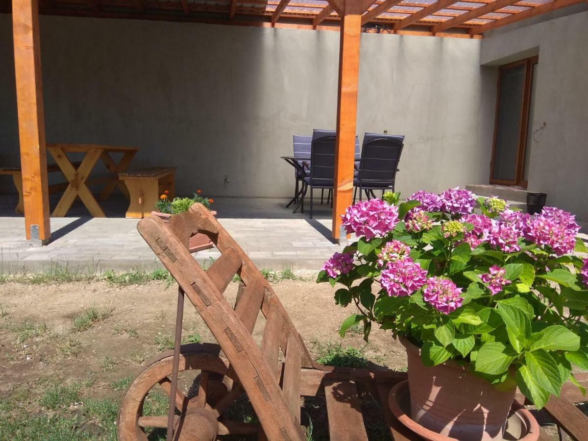 Apartmany U Splavu Veselí nad Moravou Εξωτερικό φωτογραφία